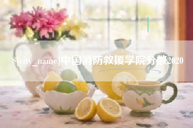 攀枝花中国消防救援学院分数2020