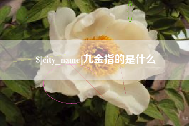 攀枝花九金指的是什么