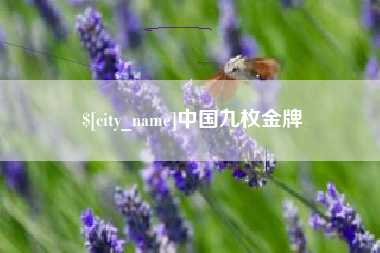 攀枝花中国九枚金牌