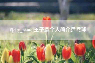 攀枝花王子豪个人简介乒乓球