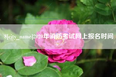 攀枝花2020年消防考试网上报名时间
