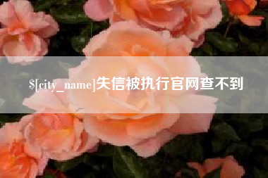攀枝花失信被执行官网查不到