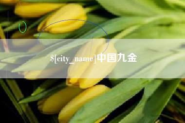攀枝花中国九金
