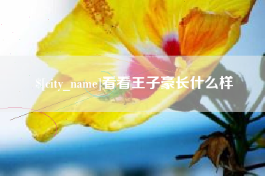 攀枝花看看王子豪长什么样
