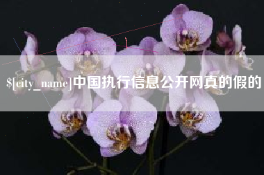 攀枝花中国执行信息公开网真的假的