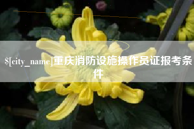 攀枝花重庆消防设施操作员证报考条件