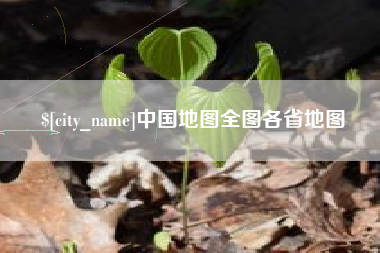 攀枝花中国地图全图各省地图