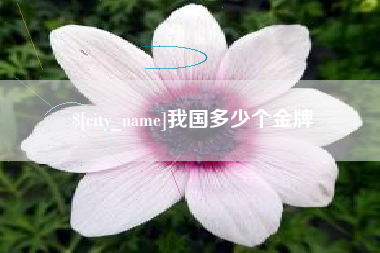 攀枝花我国多少个金牌