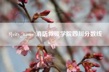 攀枝花消防救援学院四川分数线