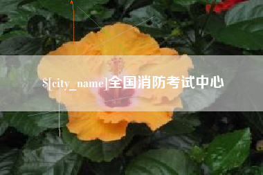 攀枝花全国消防考试中心