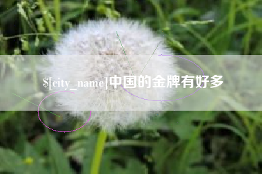 攀枝花中国的金牌有好多