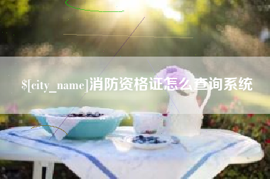 攀枝花消防资格证怎么查询系统