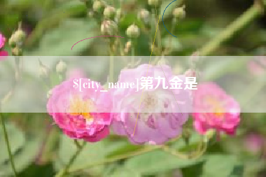 攀枝花第九金是