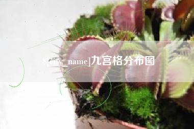 攀枝花九宫格分布图