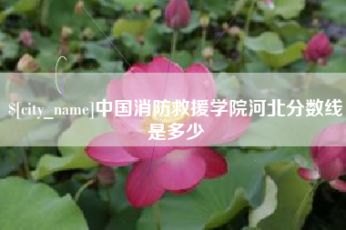 攀枝花中国消防救援学院河北分数线是多少