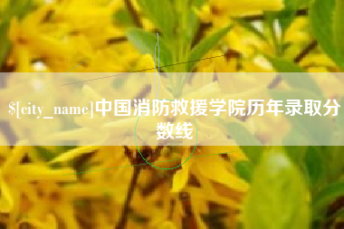 攀枝花中国消防救援学院历年录取分数线