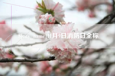 攀枝花11月9日消防日全称