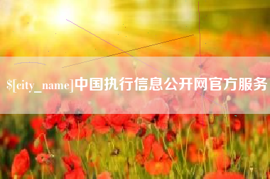 攀枝花中国执行信息公开网官方服务