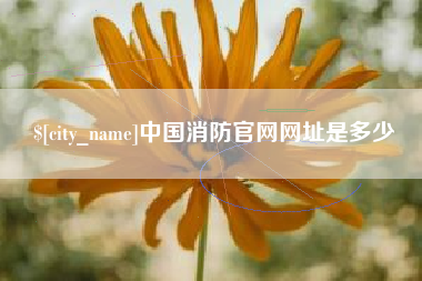 攀枝花中国消防官网网址是多少