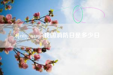 攀枝花我国消防日是多少日