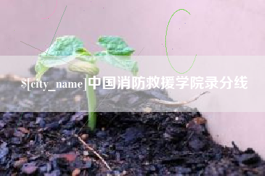 攀枝花中国消防救援学院录分线