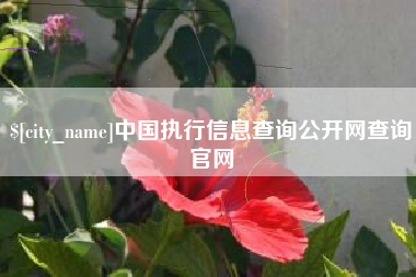 攀枝花中国执行信息查询公开网查询官网