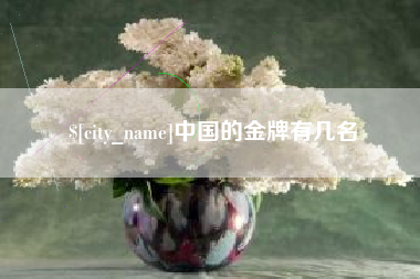 攀枝花中国的金牌有几名