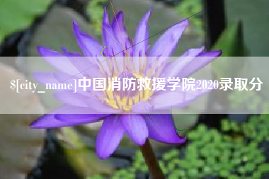 攀枝花中国消防救援学院2020录取分