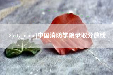 攀枝花中国消防学院录取分数线