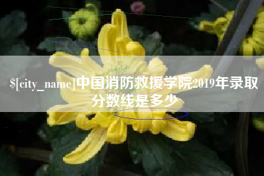攀枝花中国消防救援学院2019年录取分数线是多少
