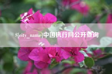 攀枝花中国执行网公开查询