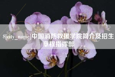 攀枝花中国消防救援学院简介及招生章程指挥部