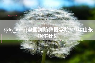 攀枝花中国消防救援学院2021年山东招生计划