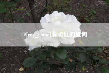 攀枝花消防证的查询