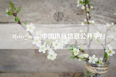 攀枝花中国执行信息公开平台
