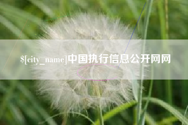 攀枝花中国执行信息公开网网