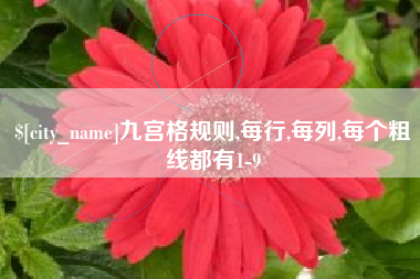 攀枝花九宫格规则,每行,每列,每个粗线都有1-9