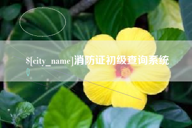 攀枝花消防证初级查询系统