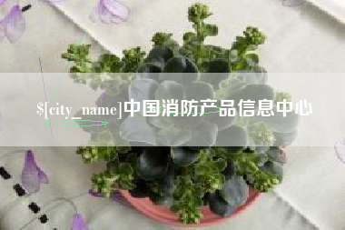 攀枝花中国消防产品信息中心