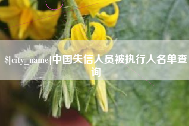 攀枝花中国失信人员被执行人名单查询