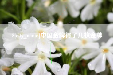 攀枝花中国金牌得了几枚金牌