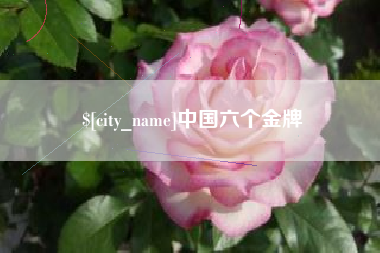 攀枝花中国六个金牌