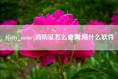 攀枝花消防证怎么查询,用什么软件