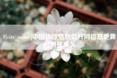 攀枝花中国执行信息公开网信息更新时间是多久