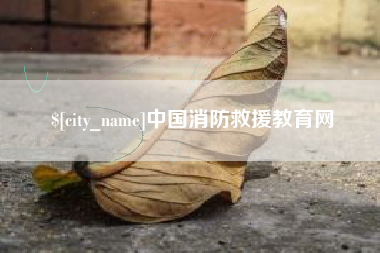 攀枝花中国消防救援教育网