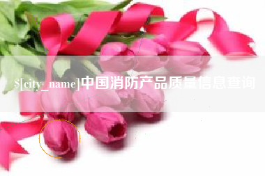 攀枝花中国消防产品质量信息查询