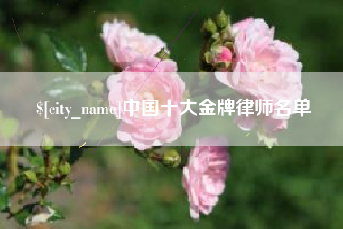攀枝花中国十大金牌律师名单