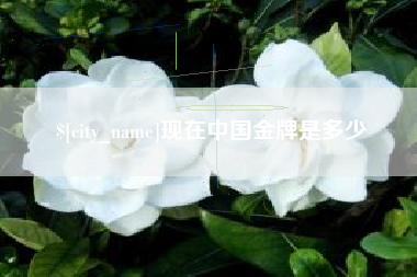 攀枝花现在中国金牌是多少