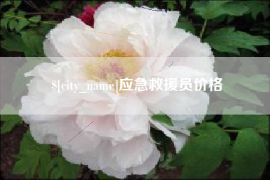 攀枝花应急救援员价格