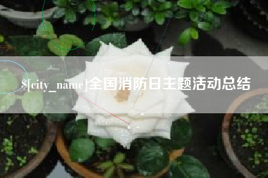 攀枝花全国消防日主题活动总结
